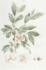情境感知的教师培训-陈敏-V10
